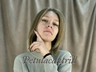 petulacantrill Sexcams city