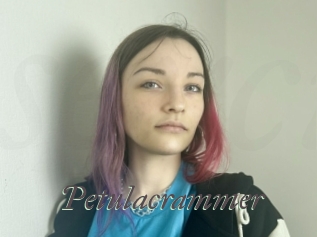 petulacrammer Sexcams city