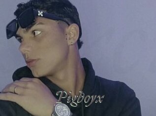 Pigboyx