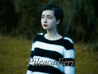 Pileacadieri