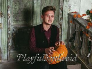 Playfulboydavid