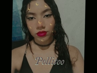Pollitoo