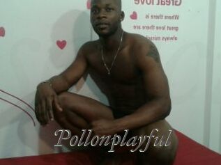 Pollonplayful