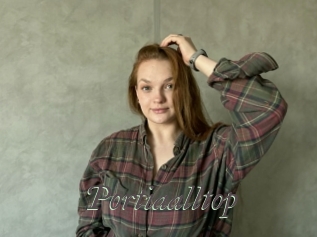 Portiaalltop