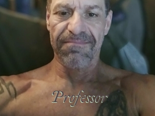 Professor