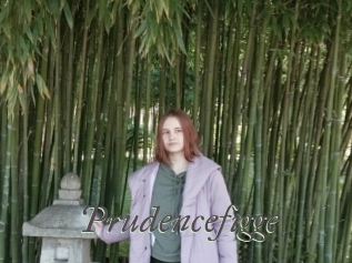 Prudencefigge