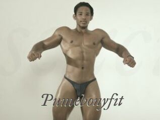 Pumebonyfit