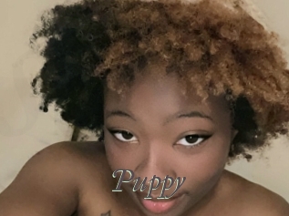 Puppy