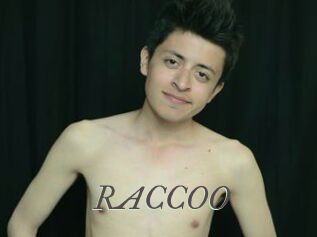 RACCOO