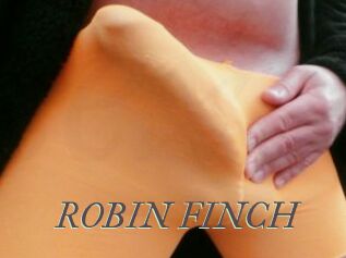 ROBIN_FINCH