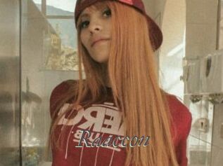 Raaccon