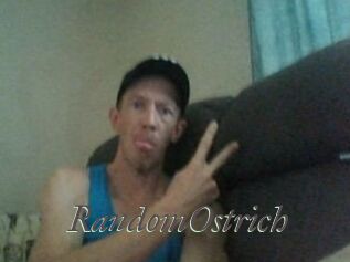 RandomOstrich