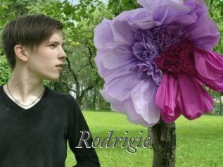 Rodrigie