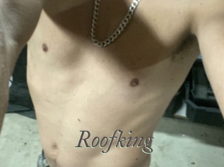 Roofking Sexcams city