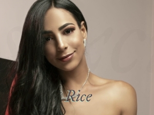 rice Sexcams city