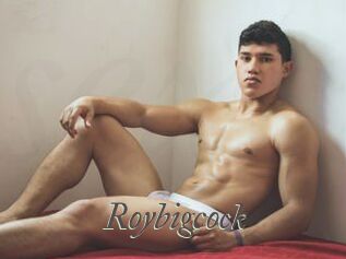 Roybigcock