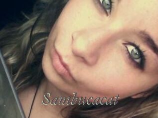 Sambucacat