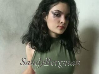 SandyBergman