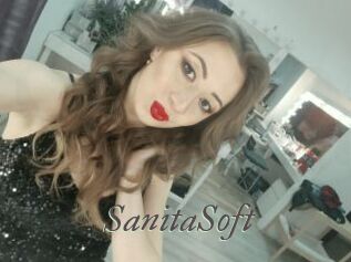 SanitaSoft Sexcams city