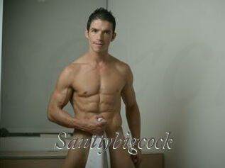 Santtybigcock