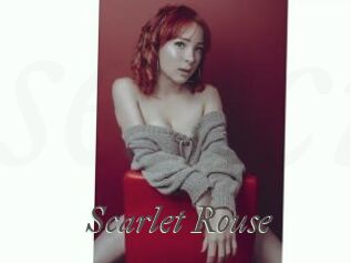 Scarlet_Rouse