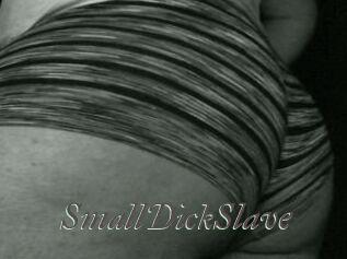 SmallDickSlave