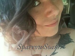 SparrowSoars