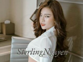 SterlingNguyen