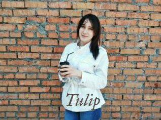 Tulip