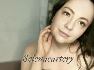 Selenacartery
