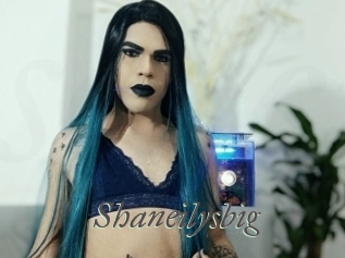 Shaneilysbig