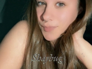 shaybug Sexcams city