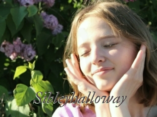 Sibleyhalloway