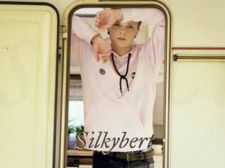 Silkybert