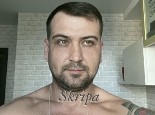 Skripa