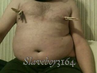 Slaveboy3164