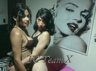 TG_TeamX