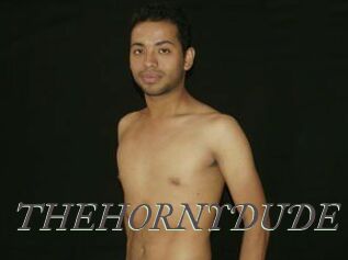 THEHORNYDUDE