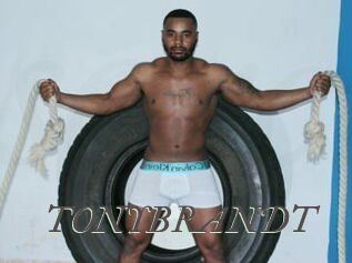 TONYBRANDT