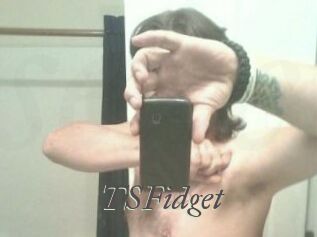 TSFidget