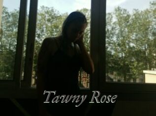 Tawny_Rose
