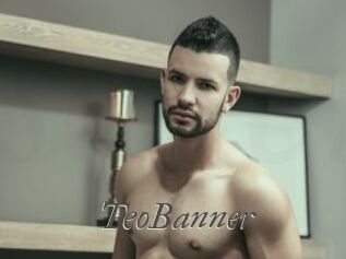 TeoBanner