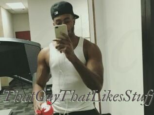 ThatGuyThatLikesStuff