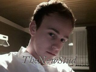 TheNewStud