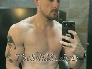 TheSolidSnake23 Sexcams city