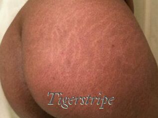 Tigerstripe