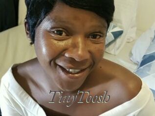 TinyToosh