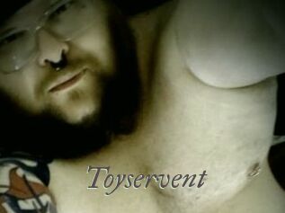 Toyservent Sexcams city