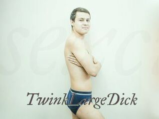 TwinkLargeDick