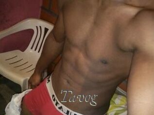 Tavog